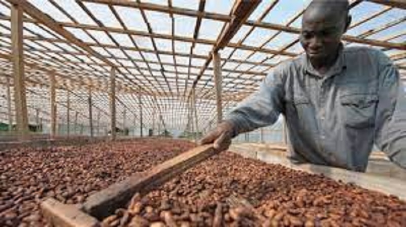 Risque élevé de cancer pour les consommateurs de ce type de café