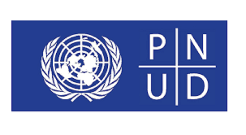 Le PNUD recrute pour ce poste (01 Octobre 2021)