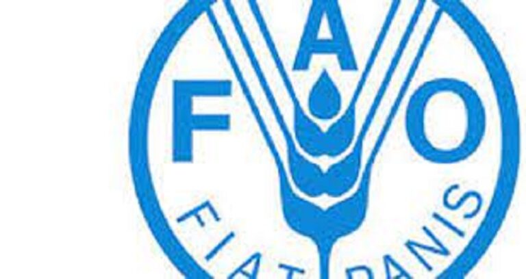 Togo : Appel à participation de la FAO pour la « Foire virtuelle de l’emploi »