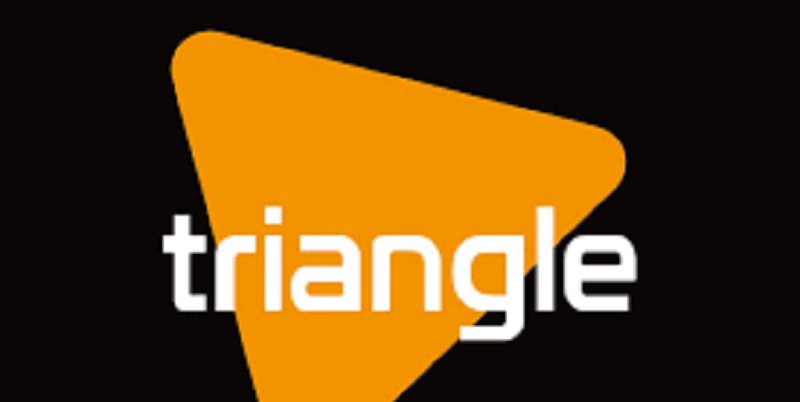 Triangle Génération Humanitaire recrute pour ce poste (30 Octobre 2021)