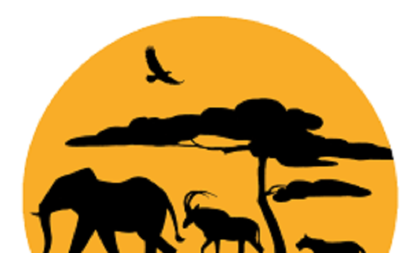 L’ONG Wild Africa Conservation recrute pour ce poste (15 Décembre 2021)