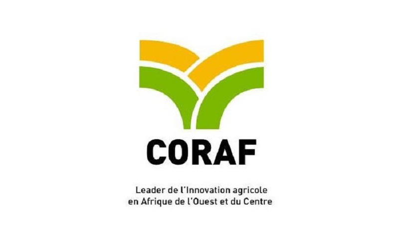 Le Conseil Ouest et Centre Africain pour la Recherche et le Développement Agricoles (CORAF) recrute pour ces 03 postes (25 Juin 2023)
