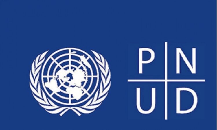 Le PNUD recrute pour ces 03 postes (31 Mai 2022)