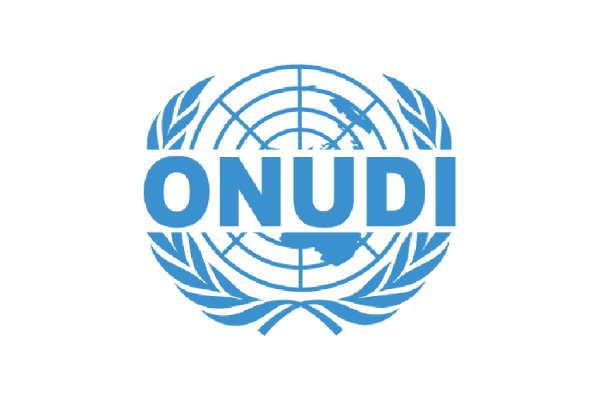 L’ONUDI recrute pour ce poste (23 Juillet 2022)