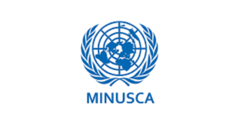 La MINUSCA recrute pour ce poste (31 Juillet 2022)