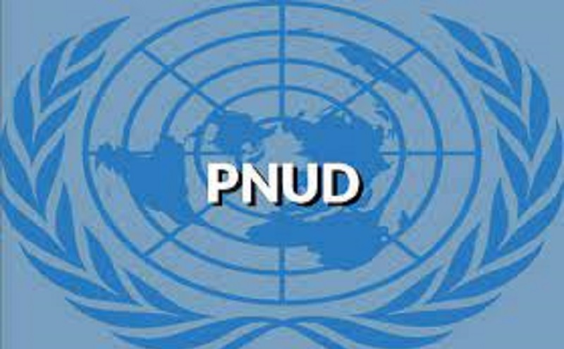 Le Programme des Nations Unies pour le Développement (PNUD) recrute pour ces 4 postes (29 Novembre 2022)