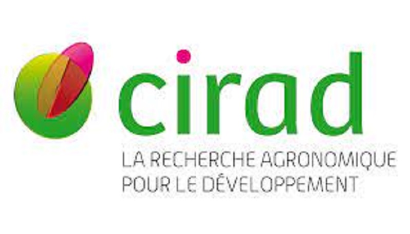 Le Cirad (Centre de Coopération Internationale en Recherche Agronomique pour le Développement) recrute (04 Décembre 2022)