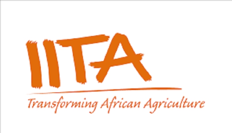 L’Institut international d’agriculture tropicale (IITA) recrute pour ces 3 postes (17 Janvier 2023)