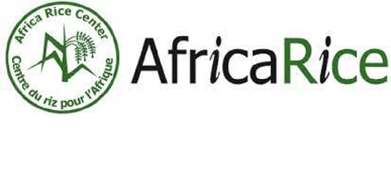 Le Centre du Riz pour l’Afrique (AfricaRice) recrute un stagiaire (31 Juillet 2023)