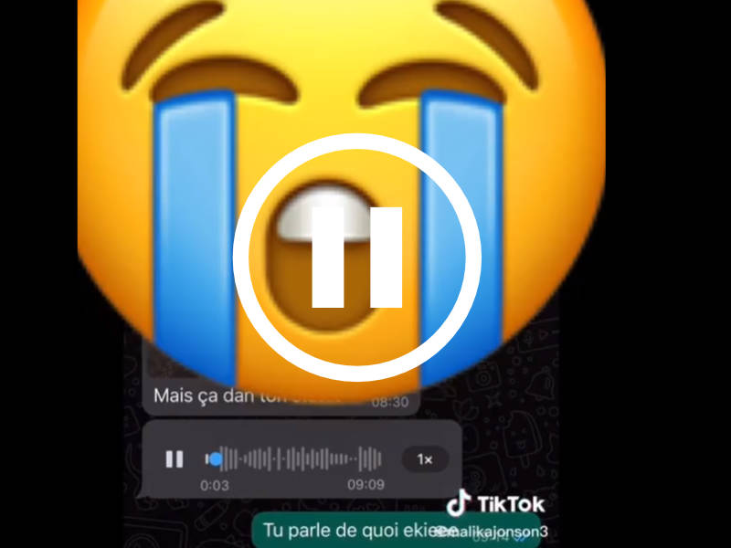 « Arrête de publier les affaires de l’État », ce TikTok sur la liberté d’expression au Cameroun touche et secoue la toile