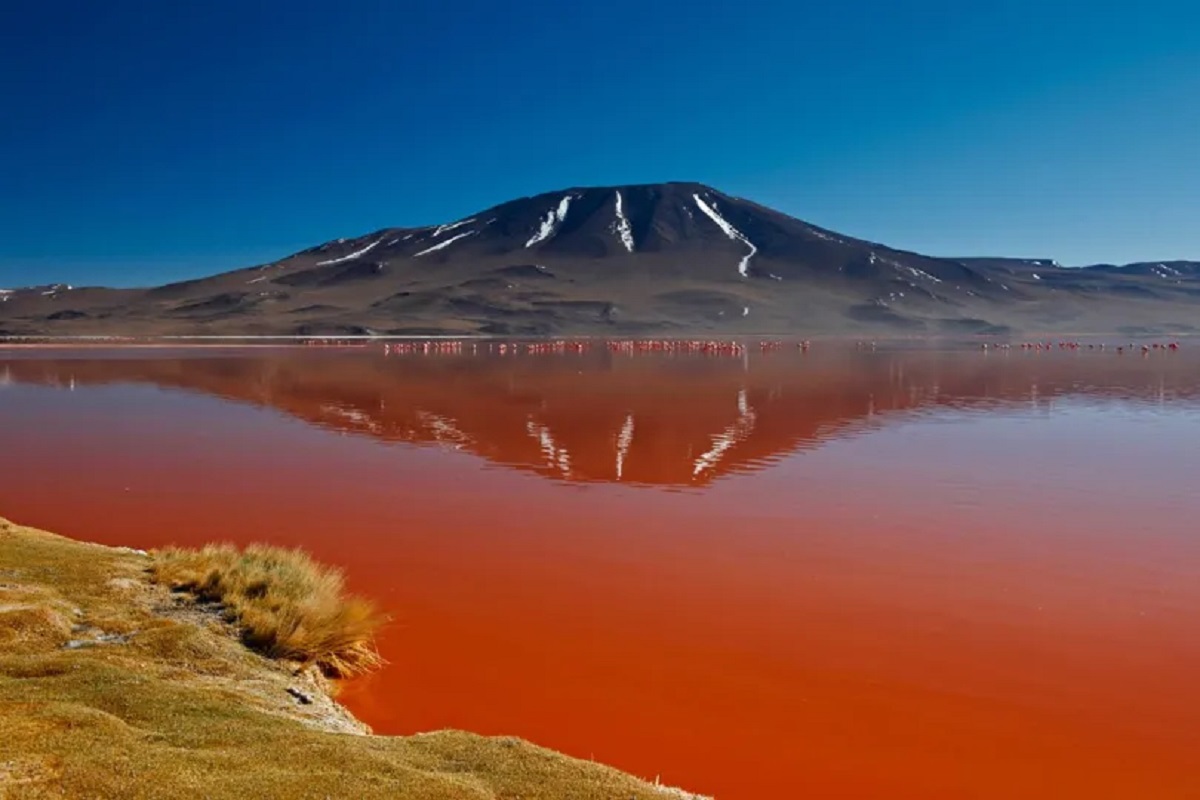Lac rouge de Tanzanie