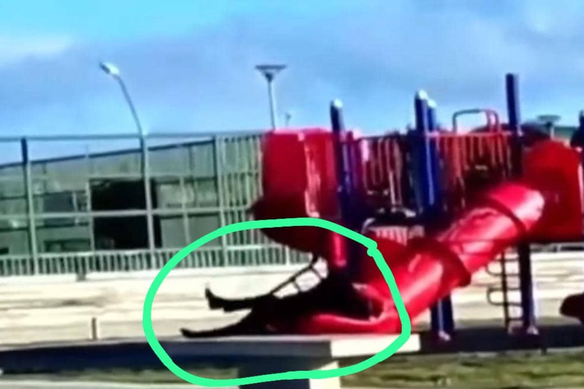 président coincé Toboggan