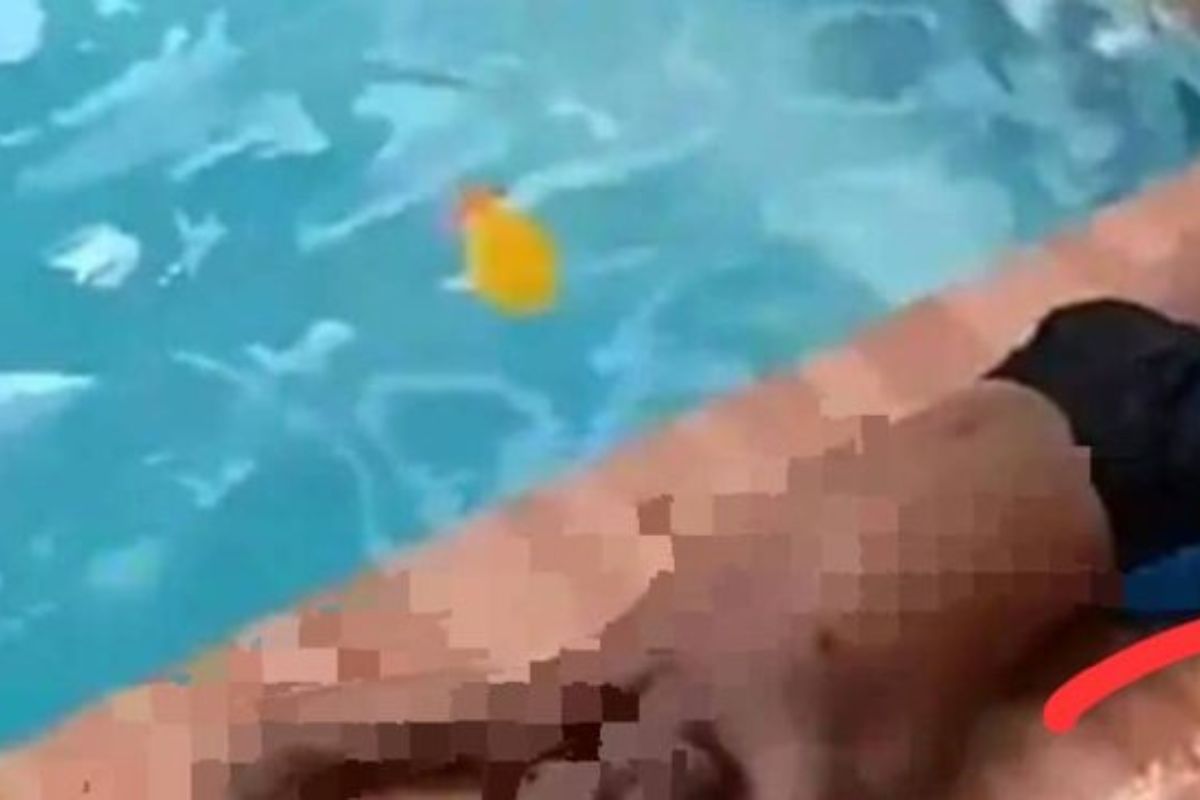 Abomey-Calavi cadavre piscine