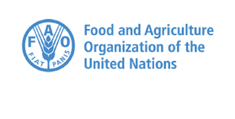 L’Organisation des Nations Unies pour l’Alimentation et l’Agriculture (FAO) recrute (06 Juillet 2023)