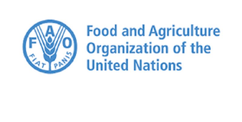 Le Bureau de la FAO recrute pour ce poste (24 Juillet 2023)