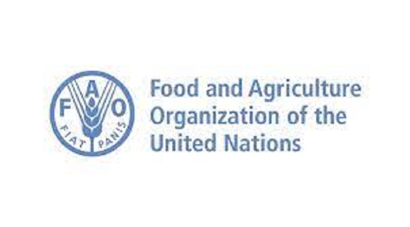 L’Organisation des Nations Unies pour l’Alimentation et l’Agriculture (FAO) recrute pour ces 2 postes (08 Août 2023)