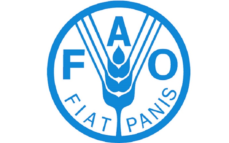 La FAO recrute pour ce poste (21 Juillet 2023)