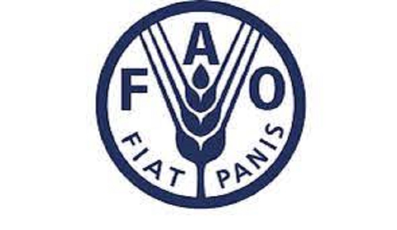 Le Bureau de la FAO recrute pour ces 6 postes (01 Août 2023)