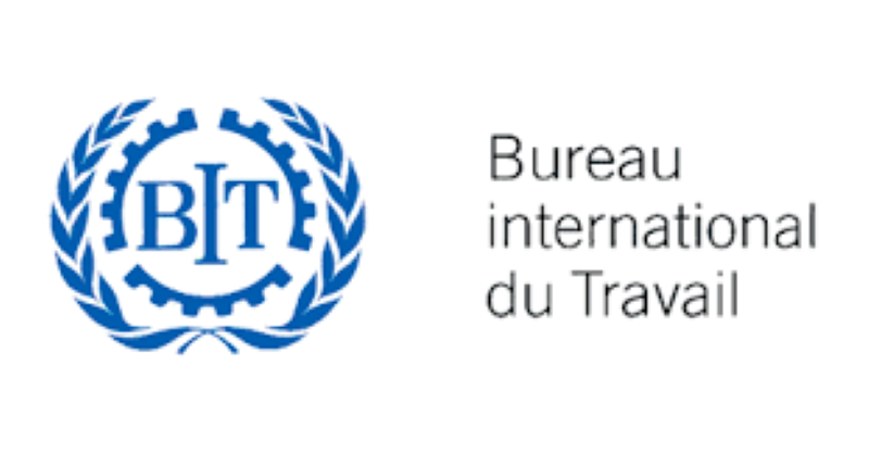 Le Bureau International du Travail (BIT) recrute pour ce poste (17 Août 2023)