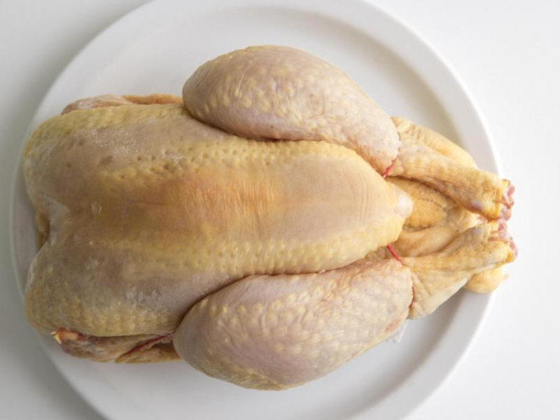 Grosse inquiétude : flambée alarmante du prix du poulet dans ce pays d’Afrique du Nord