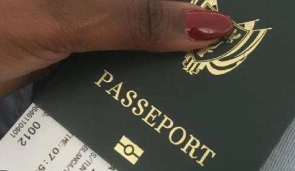 Passeport de l'AES : très bonne nouvelle pour le Mali, le Burkina Faso et le Niger, la France reconnaît...