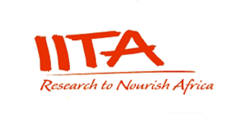 L’IITA recrute pour ce poste (11 Septembre 2023)