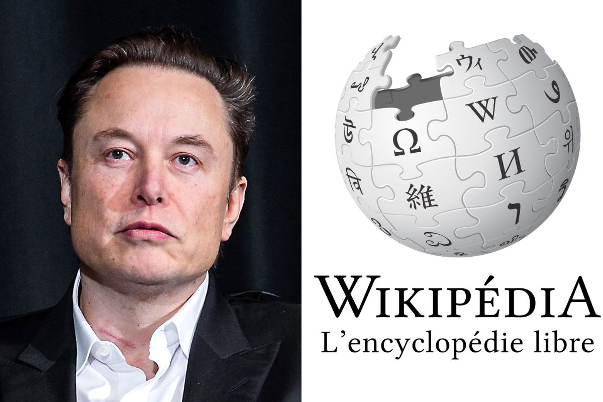 Elon Musk Wikipedia