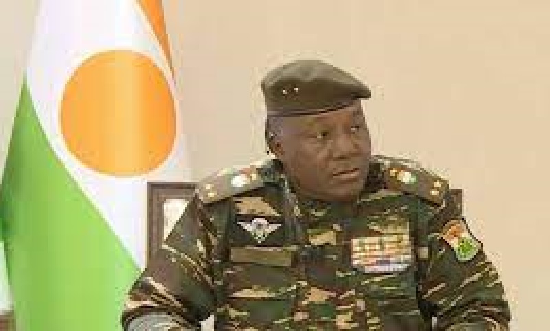 Niger AES initiative