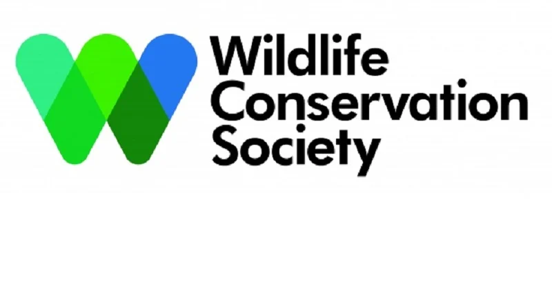 L’ONG internationale Wildlife Conservation Society (WCS) recrute pour ce poste (26 Février 2024)