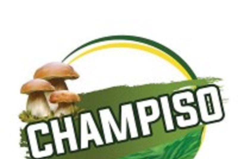 Togo: la société CHAMPISO recrute pour ces 27 postes (24 Février 2024)