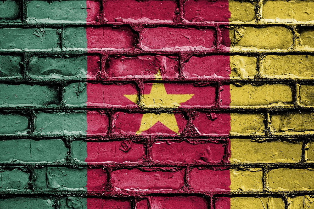 Cameroun milliards aluminium
