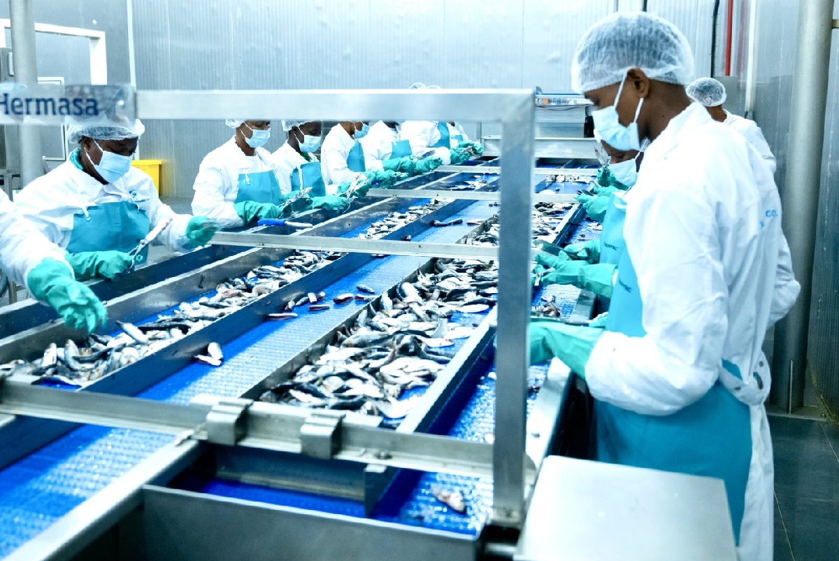 Ce pays d’Afrique de l’Ouest se dote d’une nouvelle usine de sardines