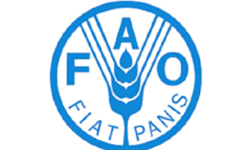 L’Organisation des Nations Unies pour l’alimentation et l’agriculture (FAO) recrute (09 Mars 2024)