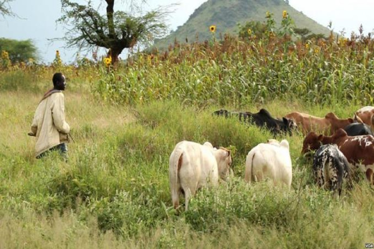 Une vingtaine de décès recensés dans de nouveaux combats entre éleveurs et cultivateurs dans ce pays africain