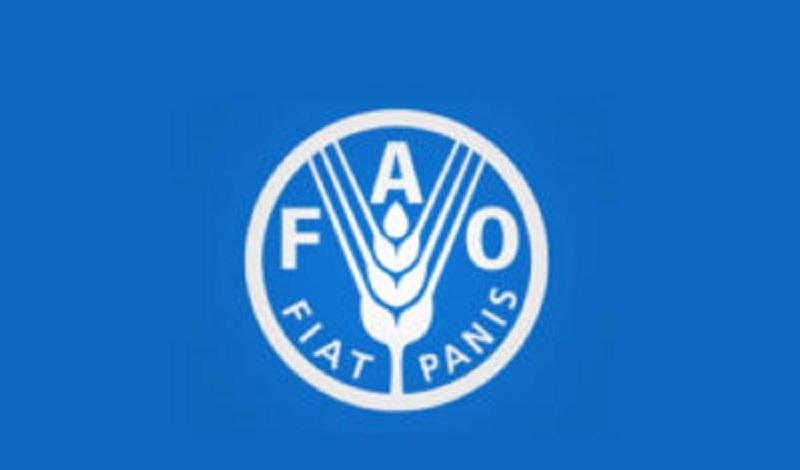 L’Organisation des Nations Unies pour l’alimentation et l’agriculture (FAO) recrute (01 Mai 2024)