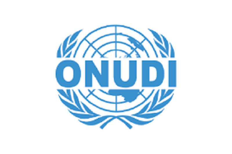 L’Organisation des Nations Unies pour le Développement Industriel (ONUDI) recrute ces 02 postes (06 Mai 2024)