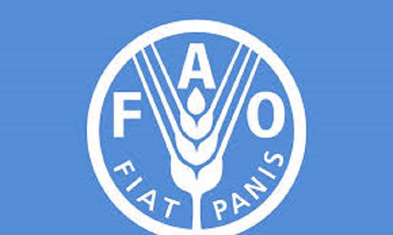 La FAO recrute pour ce poste (07 Mai 2024)
