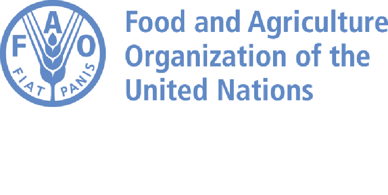 Le Bureau de la FAO recrute pour ce poste (23 Mai 2024)
