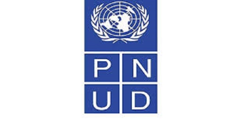 Le PNUD recrute pour ces 02 postes (15 Mai 2024)