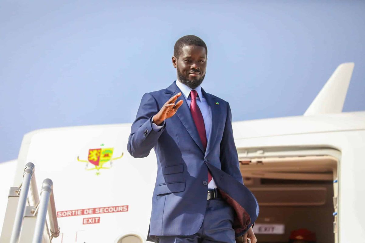 Ça y est, la France restitue officiellement au Sénégal l'emblématique...