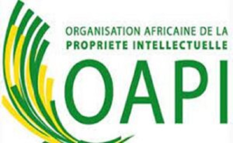L’Organisation Africaine de la Propriété Intellectuelle (OAPI) recrute pour ces 03 postes (13 Septembre 2024)