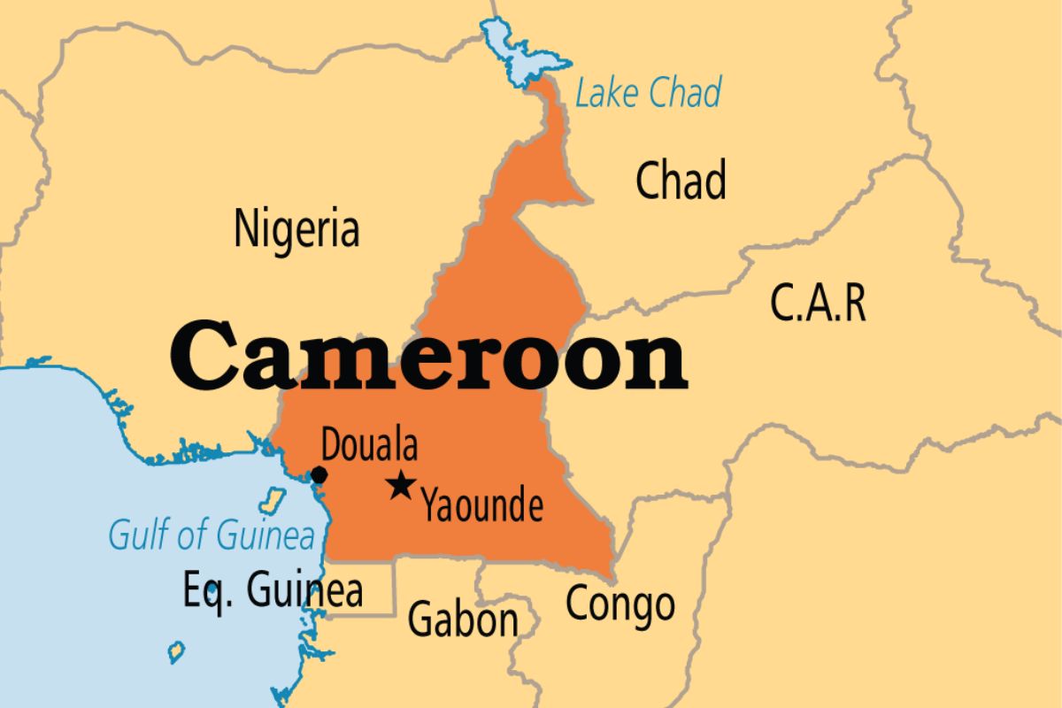 Cameroun : élection d'un nouveau président à la tête du Sénat