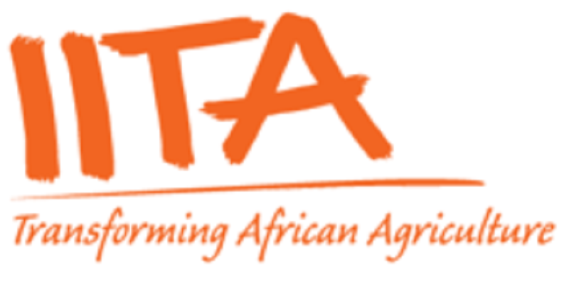 L’Institut International d’Agriculture Tropicale (IITA) recrute pour ce poste (06 Juin 2024)