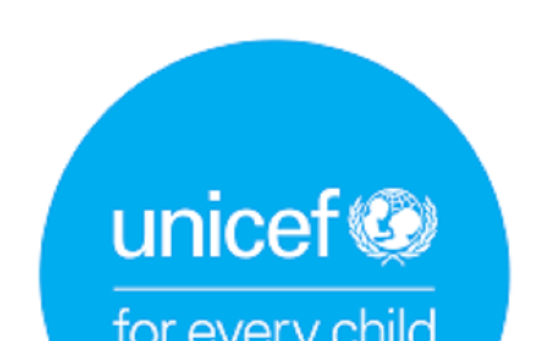 Le Fonds des Nations Unies pour l’Enfance (UNICEF) recrute pour ces 7 postes (10 Juin 2024)