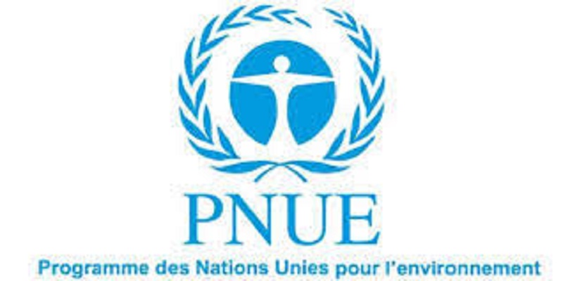 Le Programme des Nations Unies pour l’Environnement (PNUE) recrute (23 Juin 2024)