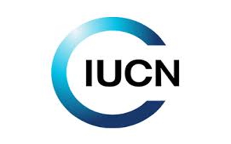 L’organisation Internationale IUCN recrute pour ce poste (23 Juin 2024)