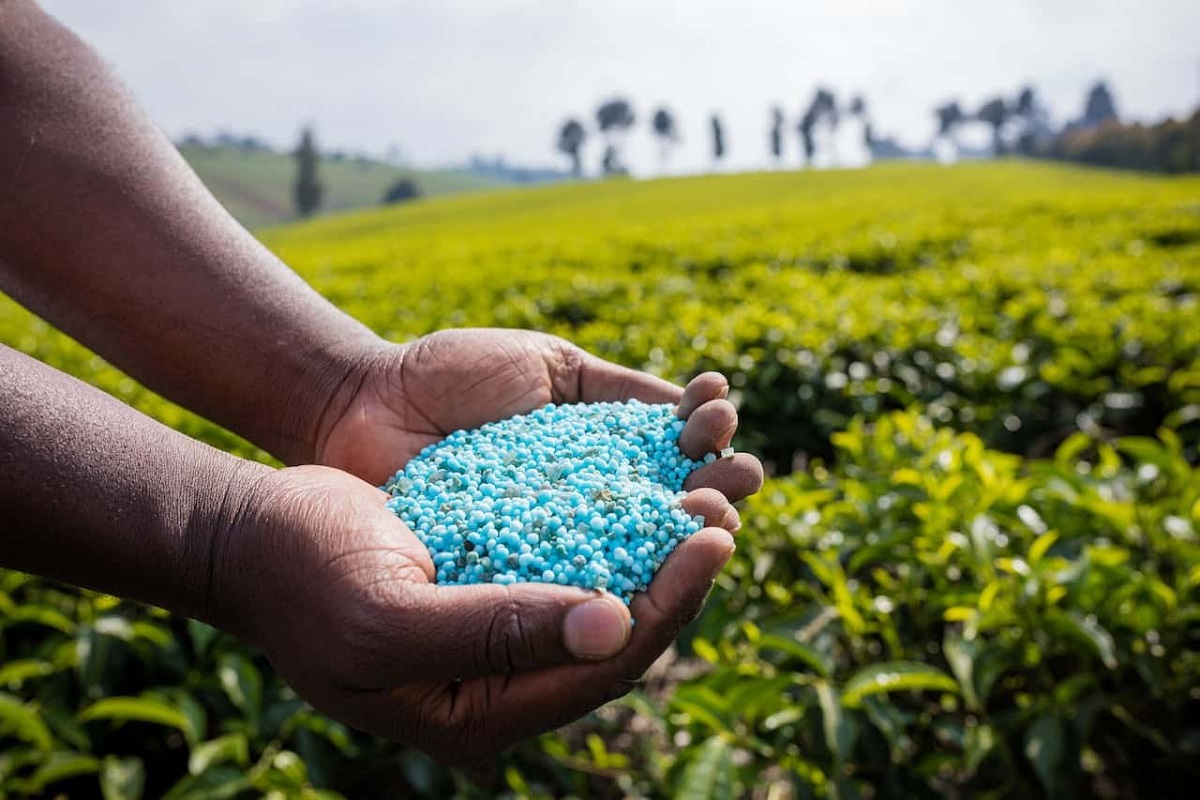 Ce pays d’Afrique du Nord veut augmenter sa production d’engrais pour l’exporter
