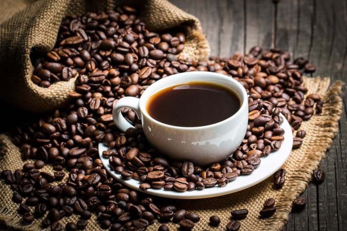 Incroyable, grâce au café, ce pays africain réalise une recette exceptionnelle de plus de 570 milliards de FCFA