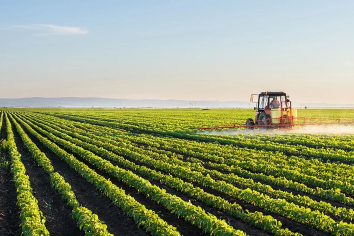 Secteur agricole
