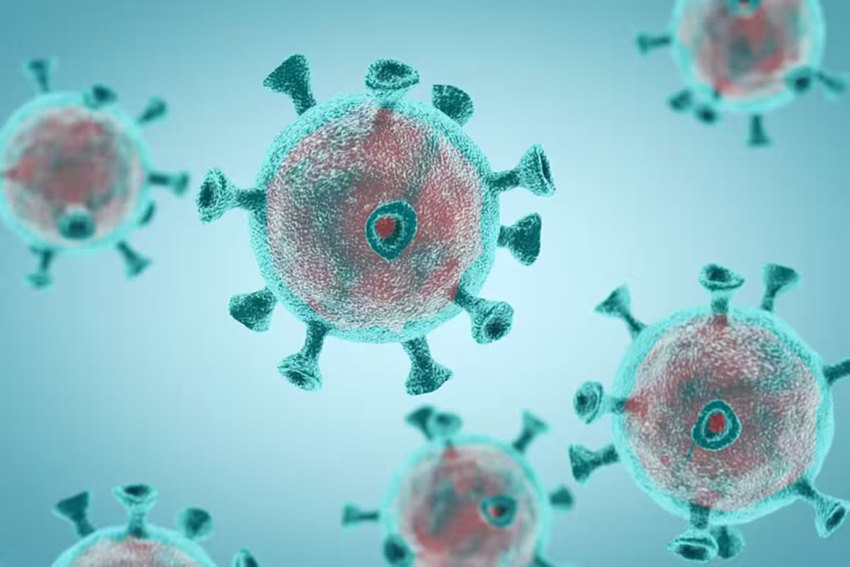 Santé : un nouveau virus recensé dans certains pays africains dont la Côte d'Ivoire